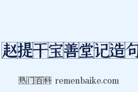 赵提干宝善堂记造句是什么意思的图片